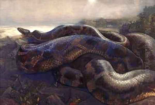 Kaa the Python Oil Painting by Charles Maurice Detmold