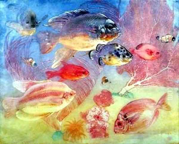 Tropical Fish Oil Painting by Charles Maurice Detmold