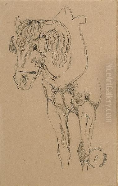 Study Of A Horse Oil Painting by Armand Point