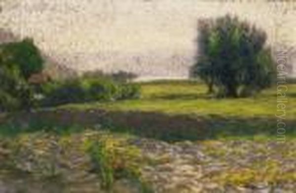 Sunlit Field Oil Painting by Hugo Poll