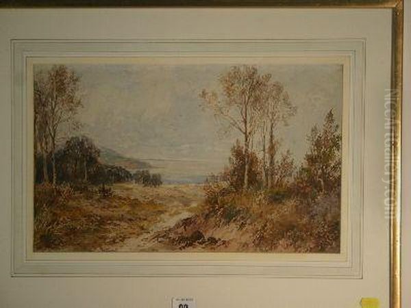 Dune With Trees And Distant Bay Oil Painting by Albert Pollitt