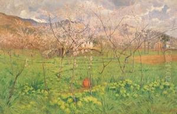 Paesaggio Primaverile Oil Painting by Carlo Pollonera