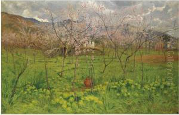 Primavera In Liguria Oil Painting by Carlo Pollonera