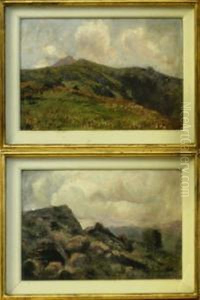 Coppia Di Paesaggi Di Montagna Oil Painting by Carlo Pollonera