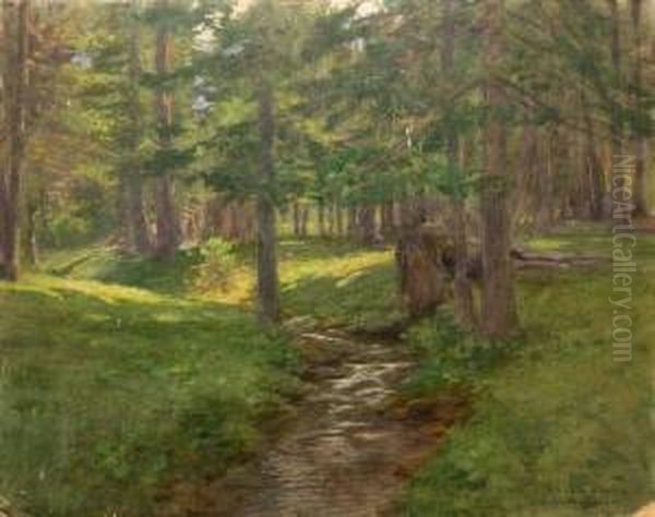  Ruisseau Dans Une Pinede  Oil Painting by Carlo Pollonera