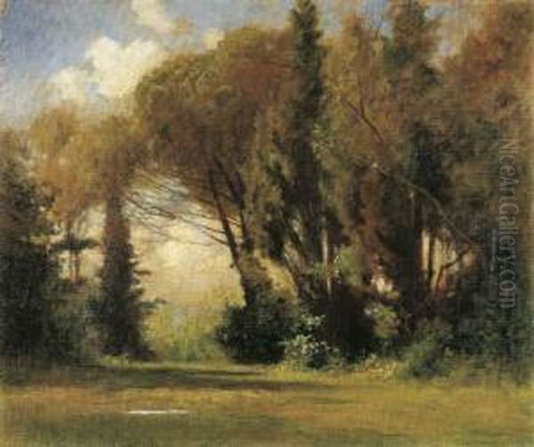 Luci Tra Gli Alberi Oil Painting by Carlo Pollonera