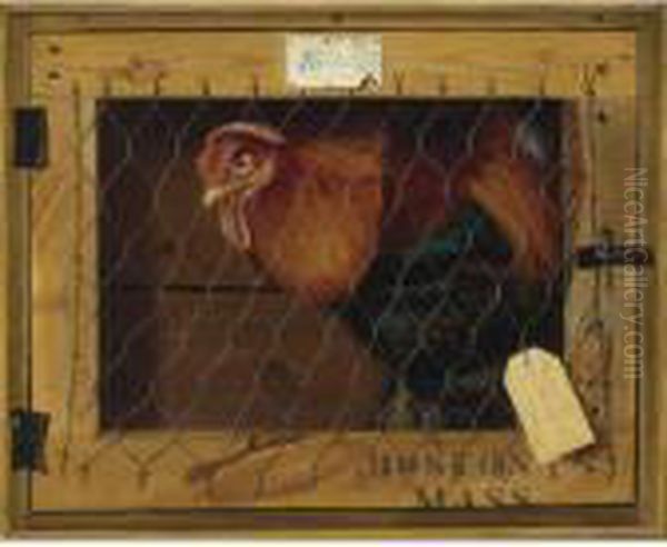 Rooster In Transit Oil Painting by Alexander Pope