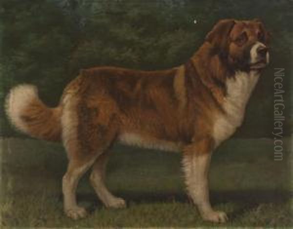 St. Bernard Oil Painting by Alexander Pope