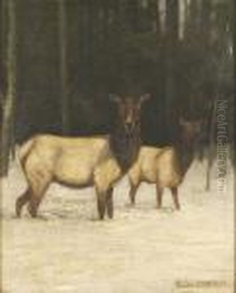 Study Of Elk Oil Painting by Alexander Pope