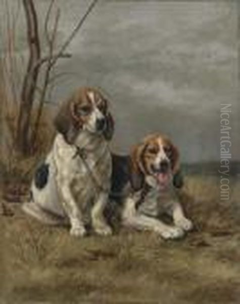 Two Hounds Oil Painting by Alexander Pope