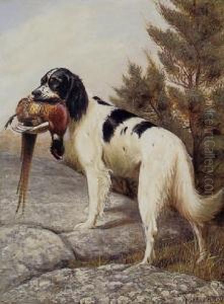 Hunting Dog With Pheasant Oil Painting by Alexander Pope