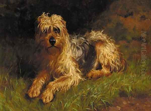 A soft-coated wheaten terrier Oil Painting by Alfred Duke