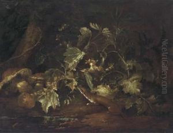 A Forest Floor Still Life With A Stoat Beside A Pool Oil Painting by Paolo Porpora