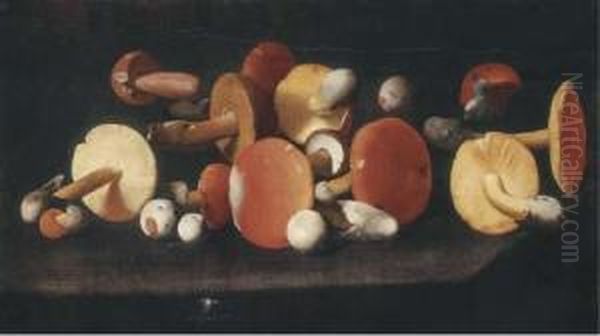 Boletus, Russulas And Other Mushrooms On A Ledge Oil Painting by Paolo Porpora