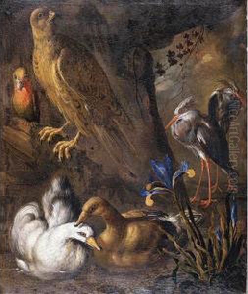 Still Life Of Birds In A Landscape Oil Painting by Paolo Porpora