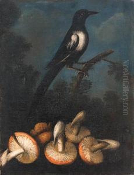 A Magpie Perched On A Branch With Fungi In The Foreground Oil Painting by Paolo Porpora