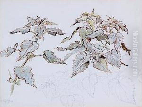 Study Of Nettles Oil Painting by Helen Beatrix Potter