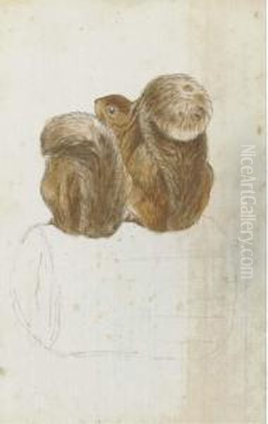 Two Squirrels On A Log Seen From Behind Oil Painting by Helen Beatrix Potter