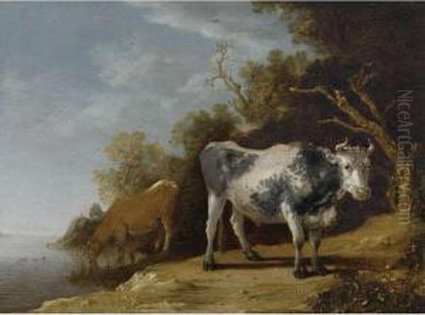 Cattle Standing On A Riverbank Oil Painting by Paulus Potter