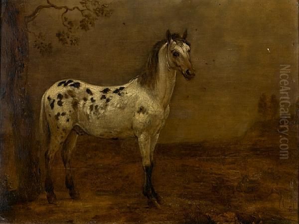 Study Of A Piebald Horse In A Landscape Oil Painting by Paulus Potter