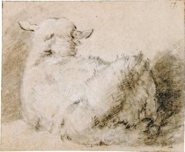 A Study Of A Sheep Oil Painting by Paulus Potter