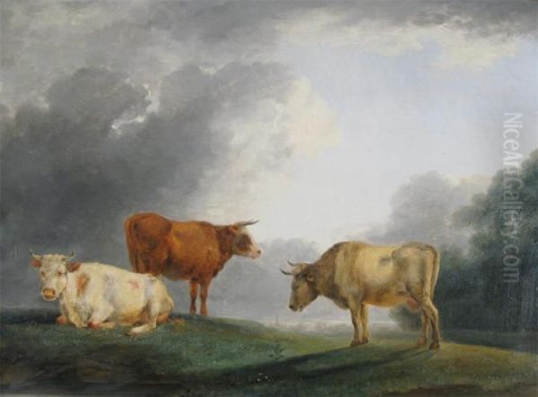 Cattle In A Meadow Oil Painting by Paulus Potter