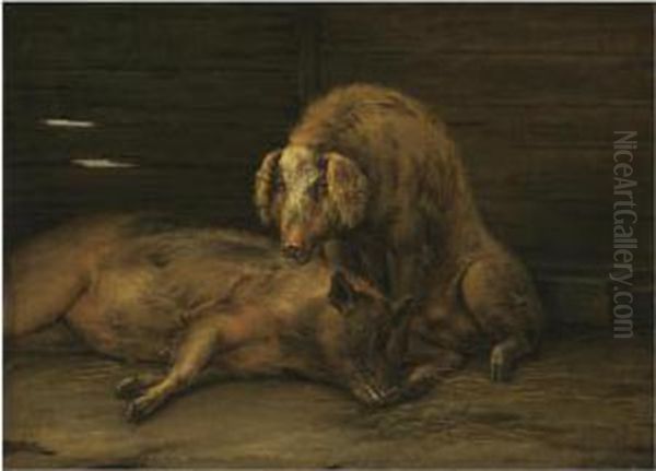 Two Pigs In A Sty Oil Painting by Paulus Potter