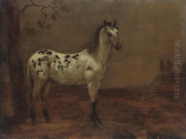 An Appaloosa Horse By A Tree Oil Painting by Paulus Potter