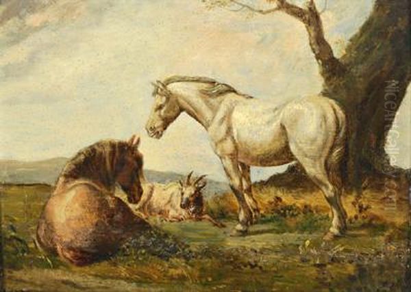 Cavalli E Una Capra In Un Paesaggio Oil Painting by Paulus Potter