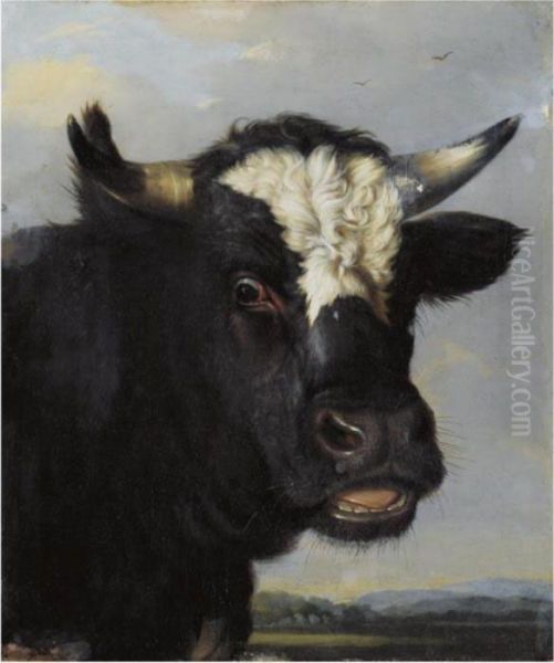 Head Of A Bull Oil Painting by Paulus Potter