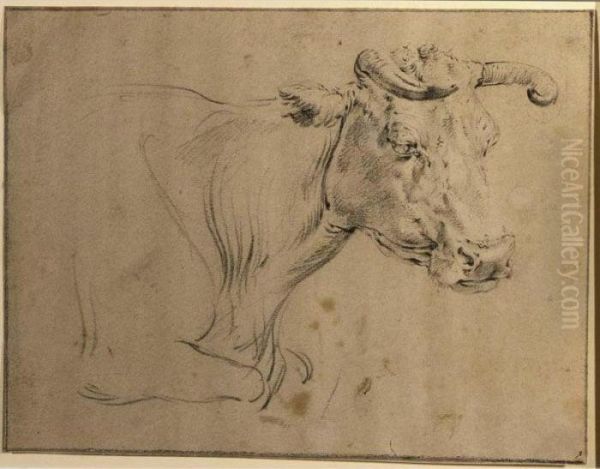 Study Of A Cow Oil Painting by Paulus Potter