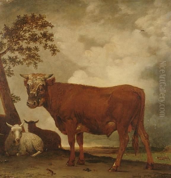 A Bull And Sheep In A Landscape Oil Painting by Paulus Potter