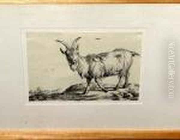 [mountain Goat] Oil Painting by Paulus Potter