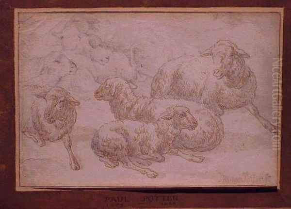 Sheep Oil Painting by Paulus Potter