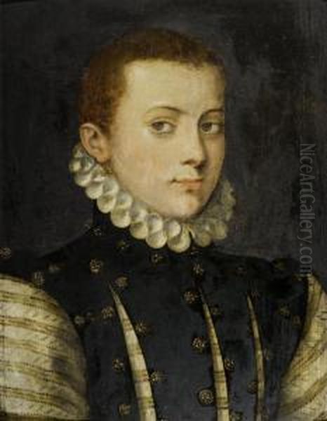 Portrait Of A Young Nobleman Oil Painting by Frans Pourbus the younger