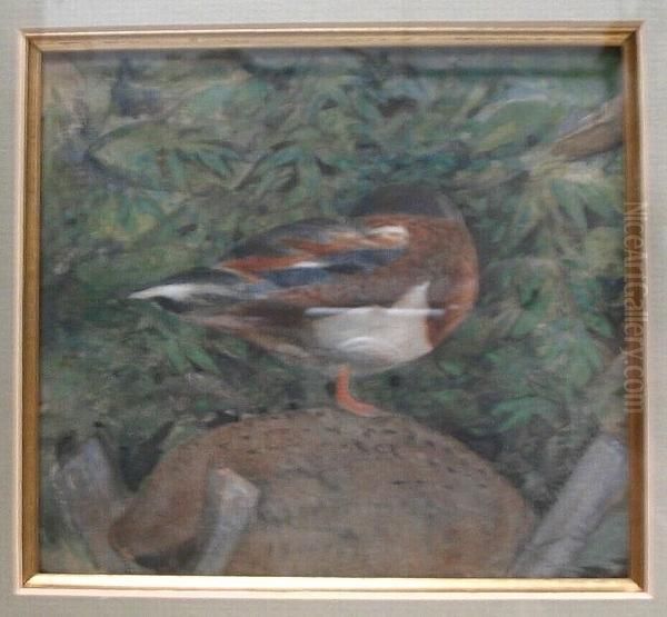 A Duck Resting Against A Background Of Leaves Oil Painting by Alfred Powell