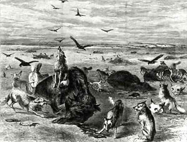 Slaughter of Buffaloes on the Plains from Harpers Weekly 1872 Oil Painting by Davis, Theodore Russell