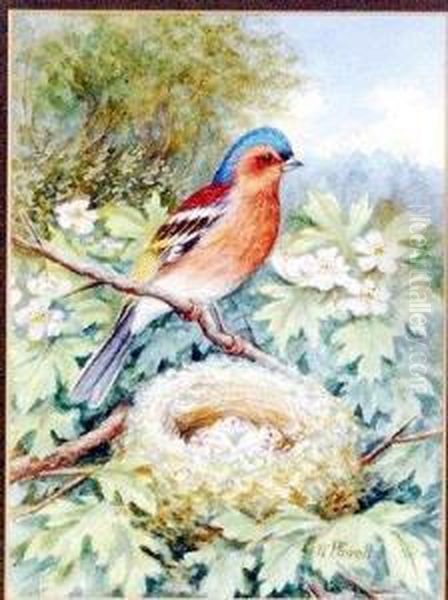 Bird Resting On Blossom Branch Above A Nest Of Eggs Oil Painting by William E. Powell