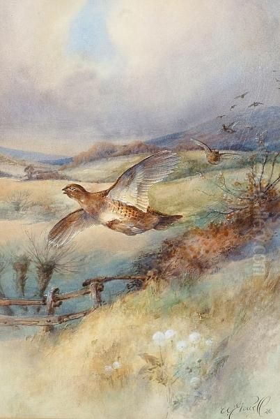 Partridge Coming In To Land Oil Painting by William E. Powell