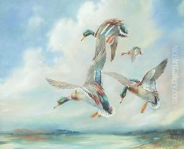 Ducks Coming Into Land Oil Painting by William E. Powell