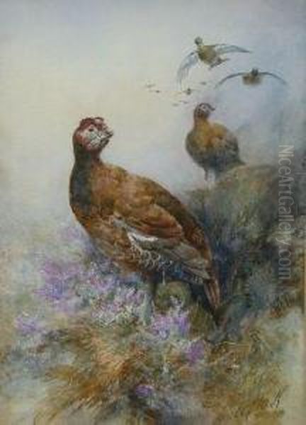 Grouse In Heather Oil Painting by William E. Powell