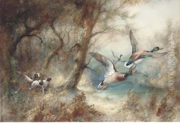 The Truant Setters And The Flushed Mallard Oil Painting by William E. Powell