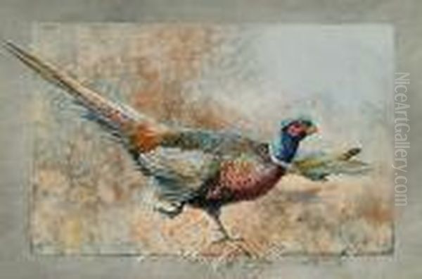 A Cock Pheasant Oil Painting by William E. Powell