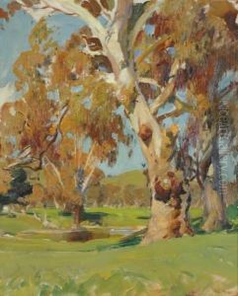 Red Gums Oil Painting by Harold Septimus Power