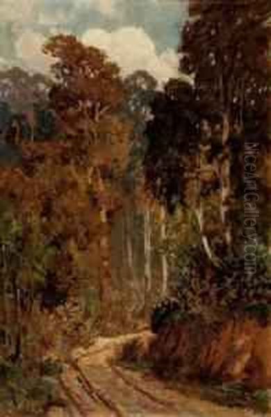 Untitled (bush Track) by Harold Septimus Power