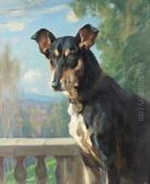 Portrait Of Tallulah, A Smooth Collie by Harold Septimus Power