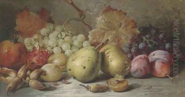 Pears, plums, grapes, pomergranites and hazelnuts Oil Painting by William Duffield