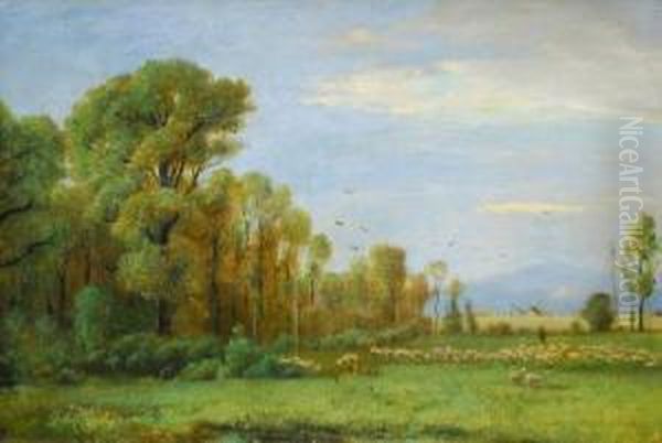 Grasende Schafherde Am Waldrand Oil Painting by Friedrich Ii Preller