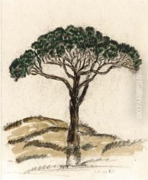 Pine Tree, Iles De Lerins Oil Painting by Charles Prendergast