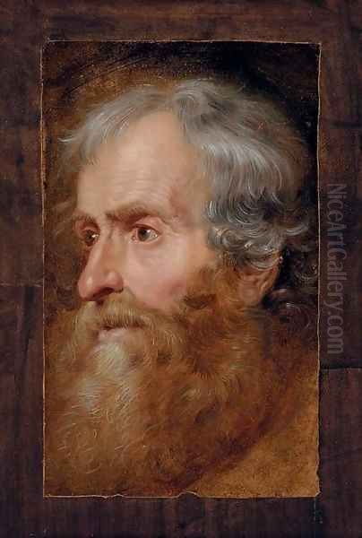 Head of an old man Oil Painting by Sir Anthony Van Dyck